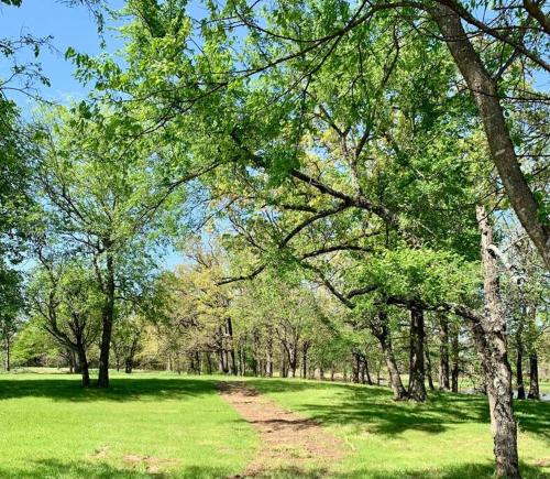 A környék, Sweet Dove Cottage has Walking Trails with Fishing Pond fun place to stay and play in Emory (TX)