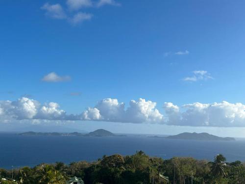 Заобикаляща среда, Goyave-Cerise in Trois-Rivieres