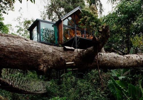 Wilderness Treehouse