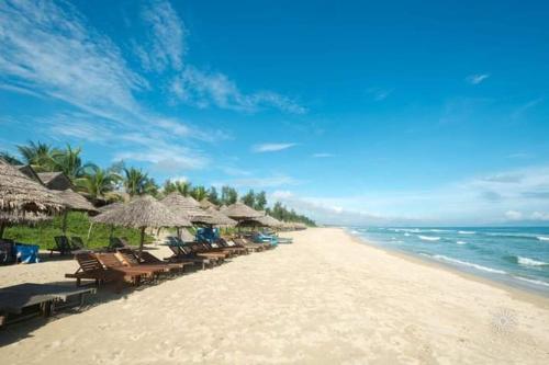 cashew tree bungalow in Cam An