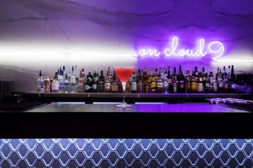 Rydges Sydney Airport Hotel - image 9