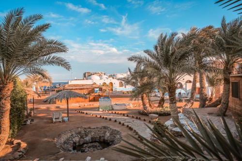 Dolphin Camp, Dahab