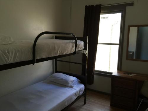 Bed in 6-Bed Dormitory Room