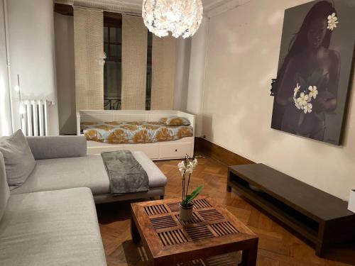 Bel appartement city center