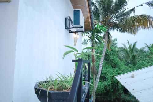 One-Bedroom House image 10