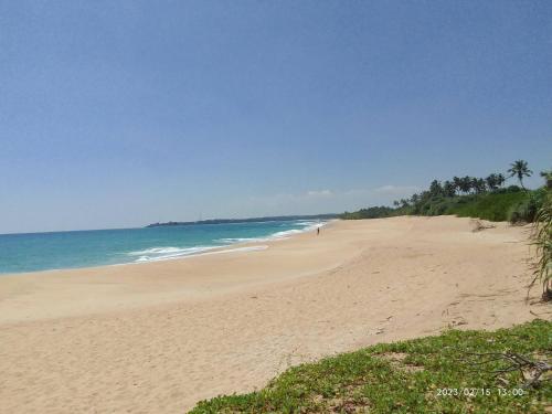 Beach, Peacock Family Stay in Tangalle
