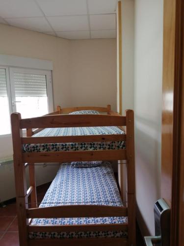 Bunk Bed in Male Dormitory Room 