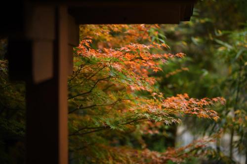 Harumiya Ryokan