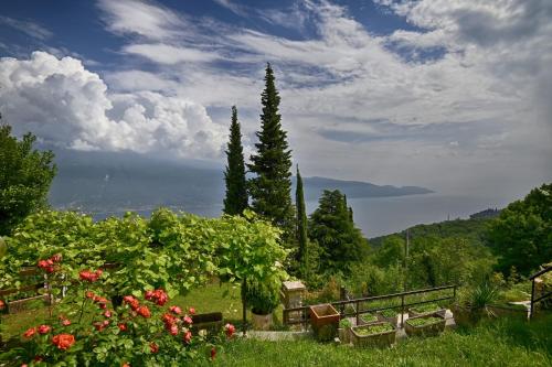 Casa Mamma Gisella - Theater Home - Apartment - Tignale