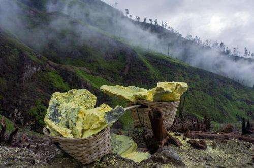 Ijen Basecamp & Homestay