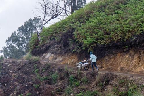 Ijen Basecamp & Homestay