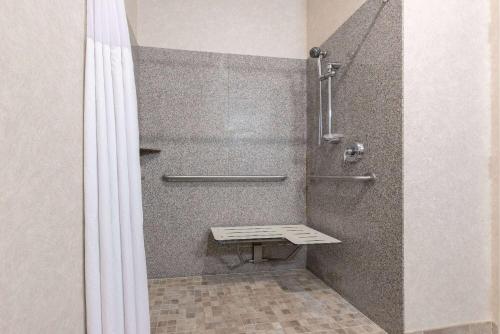 1 King Bed, Mobility Accessible Suite, Roll-In Shower, Non-Smoking