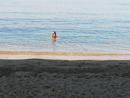 Cottage Egmond-Binnen met besloten tuin in Egmond-Binnen