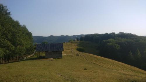 Садиба Федорчуків Гірська хатина 1 in Sheshory