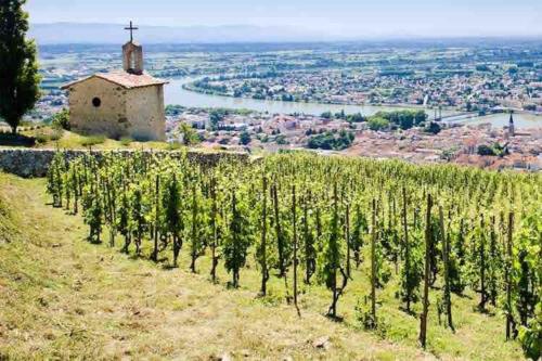 Studio climatisé proche du centre-ville à Tournon-sur-Rhône