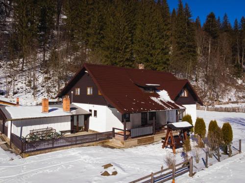 Casa Andreea in 弗拉辛