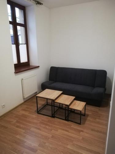 APARTAMENTY CENTRUM NOWE MIASTO LUBAWSKIE