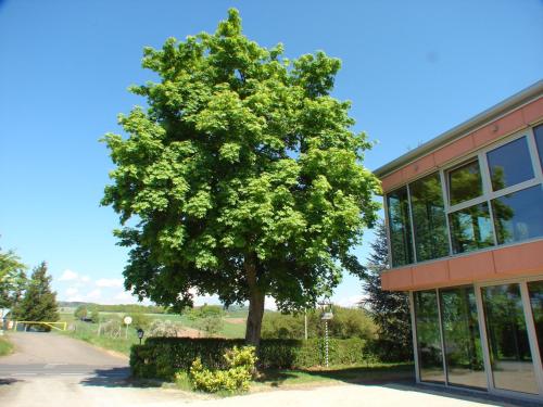 Rotenberg PT Hotel - image 2