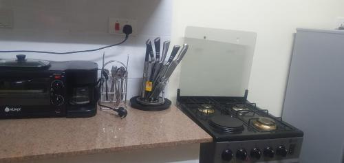 Spacious 3bedroom with lake view in Nakuru