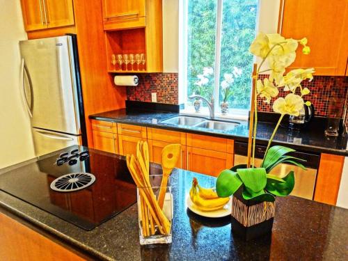 LUXURY FAMILY VILLA with POOL 5 bed/4 bath in Hollywood, USA