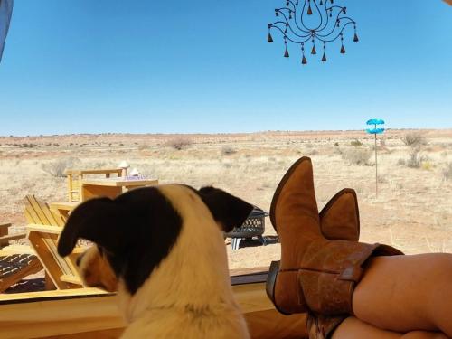 . Tentrr Signature Site - Million Stars Campsite in Petrified Forest - Bliss