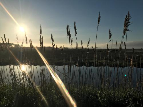 สภาพแวดล้อมโดยรอบ, Gujan-Mestras Chez Flo maison 4 places la hume in แวร์ดาล