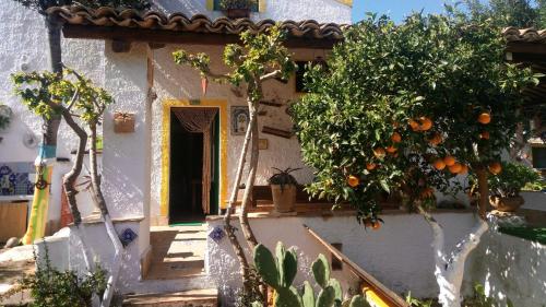 Zagara di Sicilia - image 10