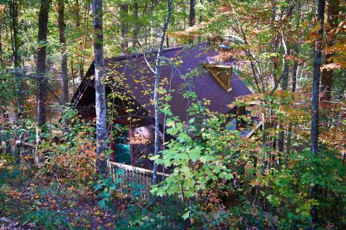 A Cabin In The Woods - image 2