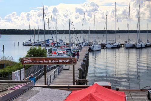 Tuvākā izklaides vieta, Pension Mola in Breege