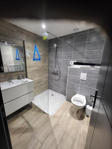 Appartement entièrement rénové à neuf 101