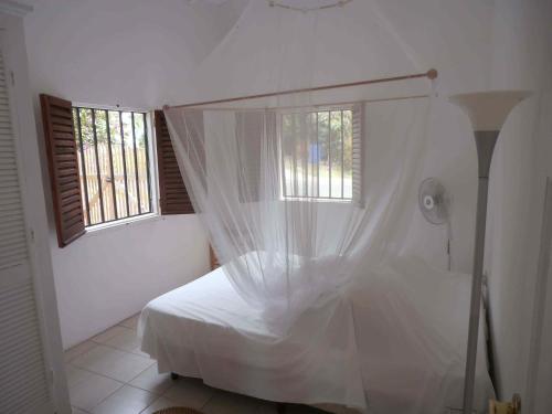 The Pink House in ชัวเซิล