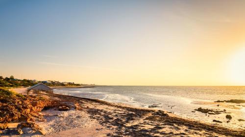 The Coastal Crab, Moonta Bay