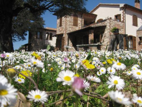 Agriturismo Poggio La Buca