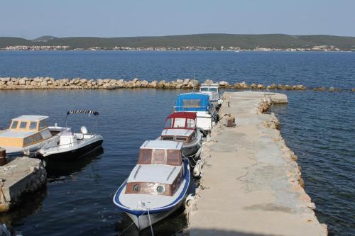 Apartments by the sea Nevidjane, Pasman - 8453