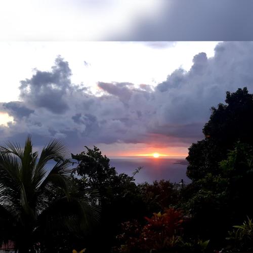 View, "SunRise Inn" Nature Island Dominica in Roseau