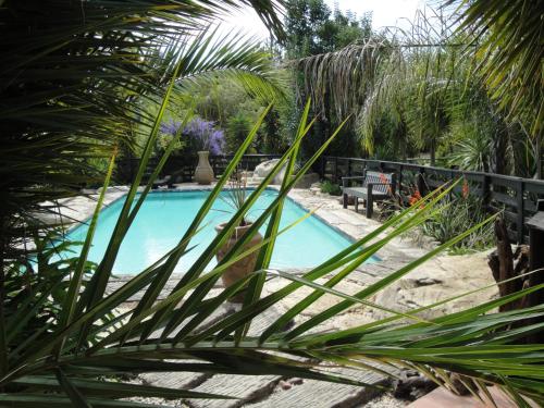 Pine Tree Lodge
