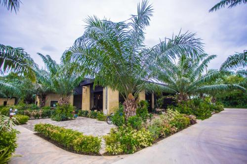 Palm Pran Resort Room Type - King Room