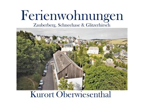 Ferienwohnungen Zauberberg, Schneehase & Glitzerhirsch - Apartment - Kurort Oberwiesenthal