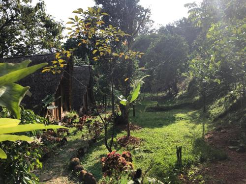 Sumatra Thomas Leaf Monkey Guesthouse & Jungle Trek, Bukit Lawang