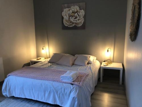 Bel appartement spacieux et lumineux hyper centre Blois