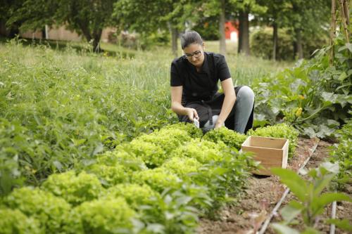 Herdade da Matinha Country House & Restaurant