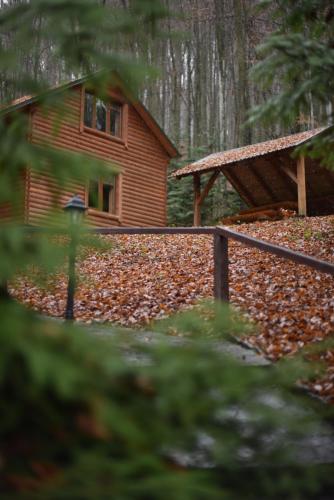 SHIPOVEC - image 12