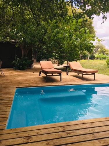 Swimming pool, O Bona Moremi Safari Lodge in Khwai
