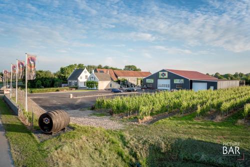  Wine-barrel Pinot-Gris in Dreischor