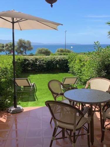 Grand studio rte des sanguinaires Superbe vue Mer 1