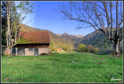 Gite du Site du Hohneck