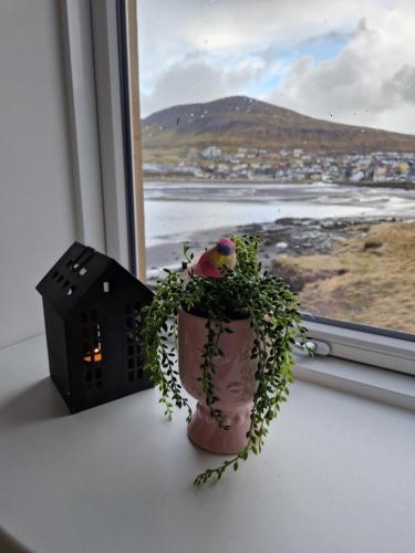 Guesthouse Hugo in Sørvágur