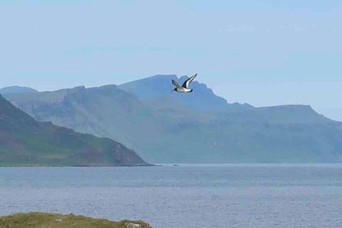 Dunmara: Self Catering Cottage on the Isle of Skye