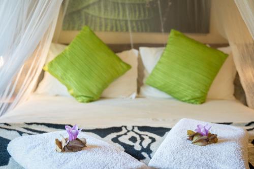 Sunbirds Oasis Lodge in Thornybush Game Reserve