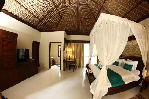 Deluxe Villa image 8